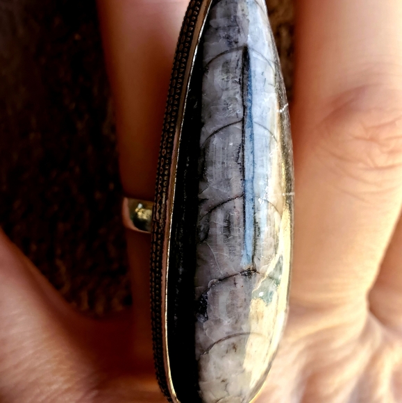 New Huge Orthoceras Fossil 925 Silver Statement Ring. - Picture 5 of 9